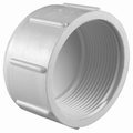 Charlotte Pipe And Foundry 112 WHT Cap Threaded PVC 02117  1600HA